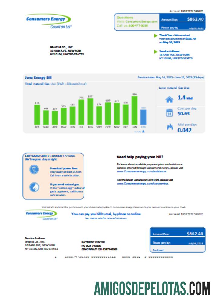 em branco Conta de serviços públicos de energia para consumidores de Michigan, modelo Word e PDF SCR